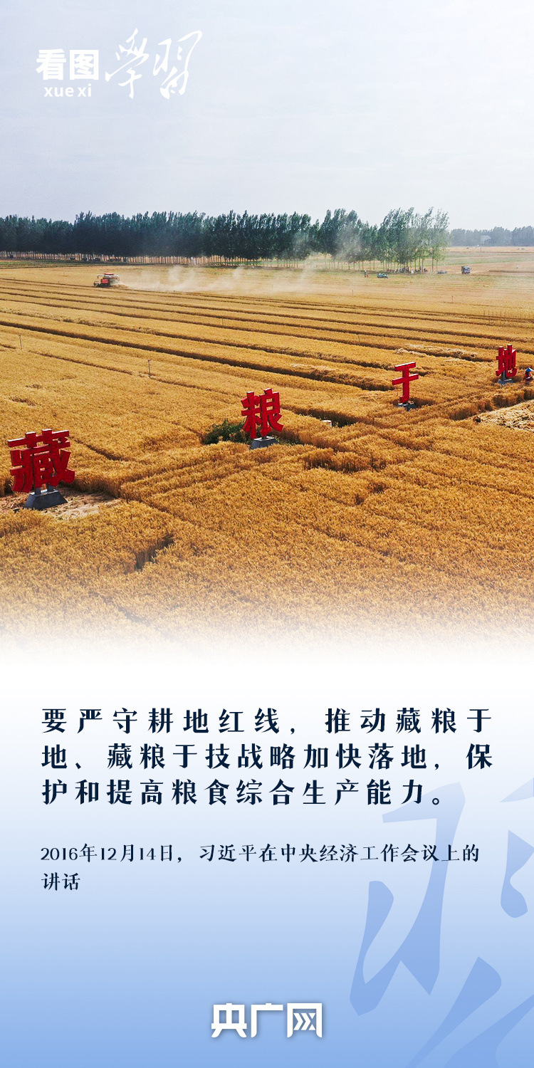 看图学习丨“守住耕地这个命根子” 总书记心系耕地保护