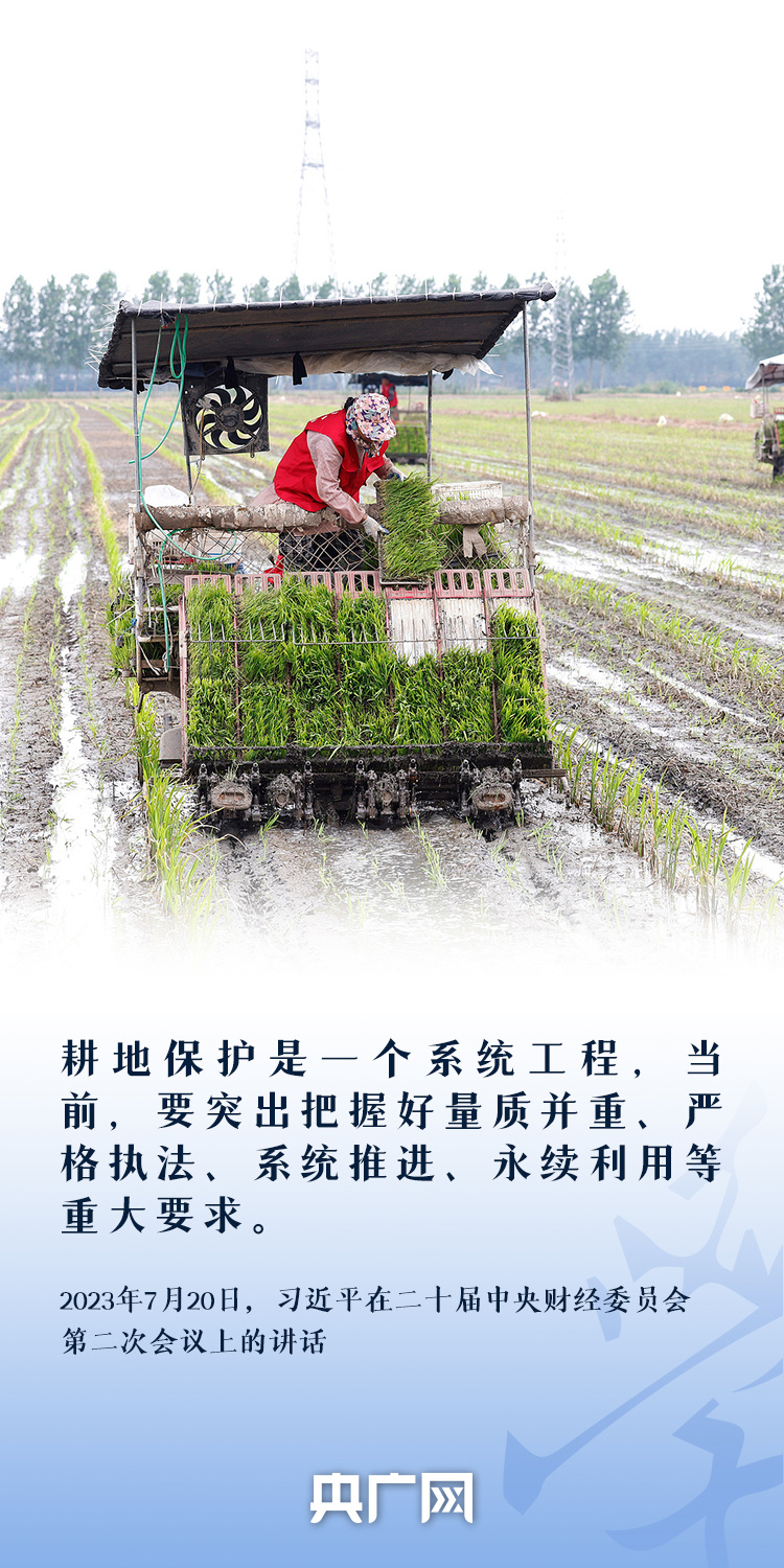 看图学习丨“守住耕地这个命根子” 总书记心系耕地保护