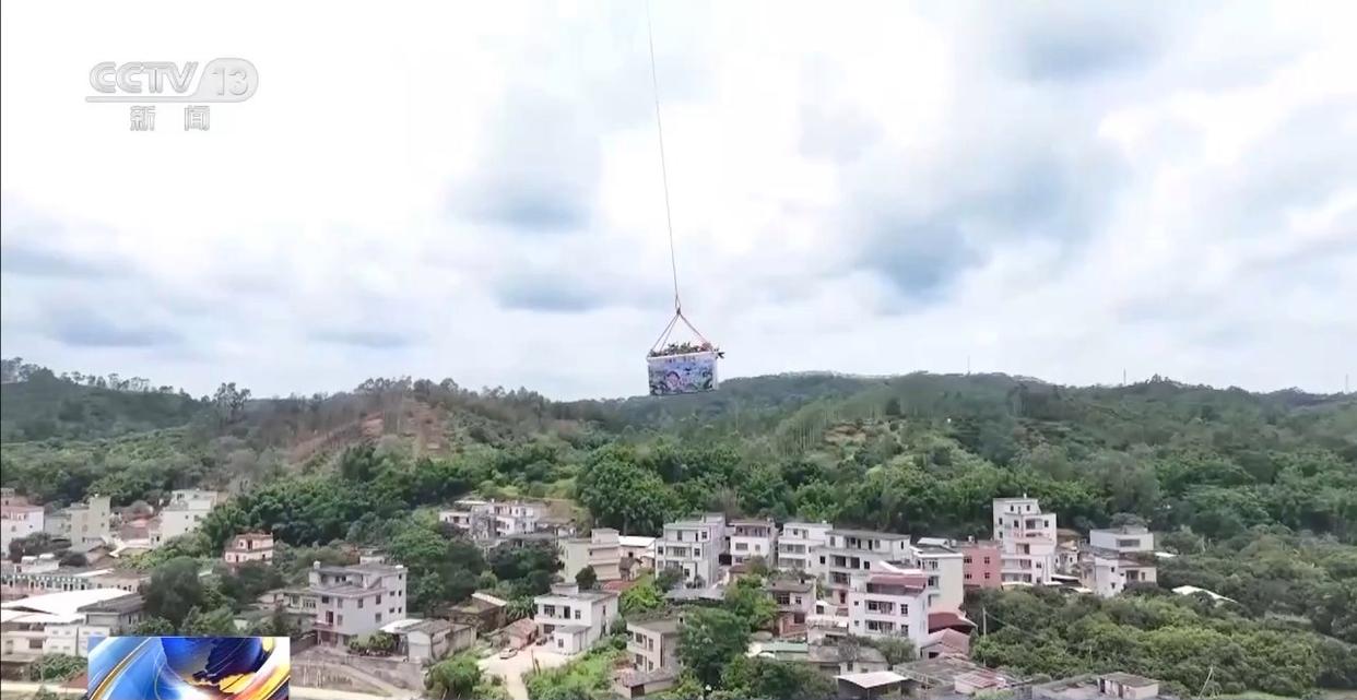 从岭南枝头到全球餐桌 广东荔枝解锁“四季鲜”密码→