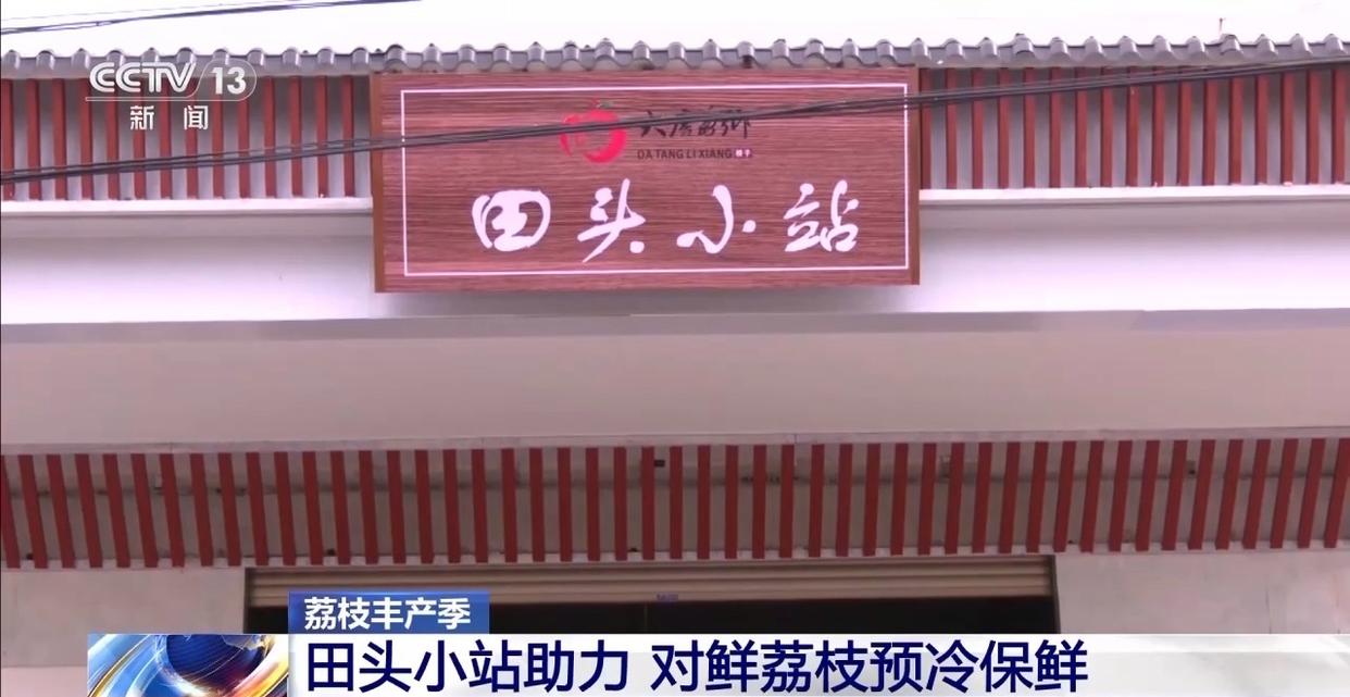 从岭南枝头到全球餐桌 广东荔枝解锁“四季鲜”密码→
