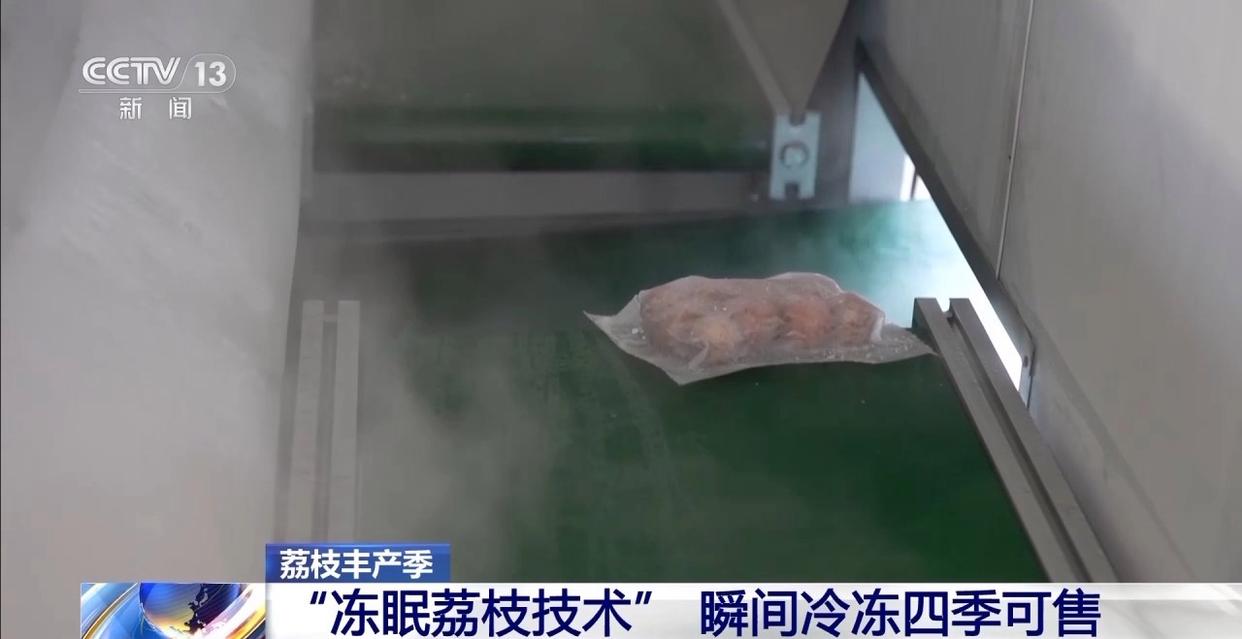 从岭南枝头到全球餐桌 广东荔枝解锁“四季鲜”密码→