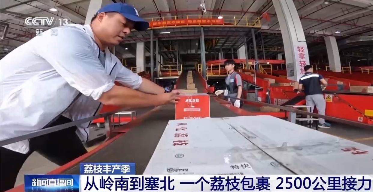 从岭南枝头到全球餐桌 广东荔枝解锁“四季鲜”密码→