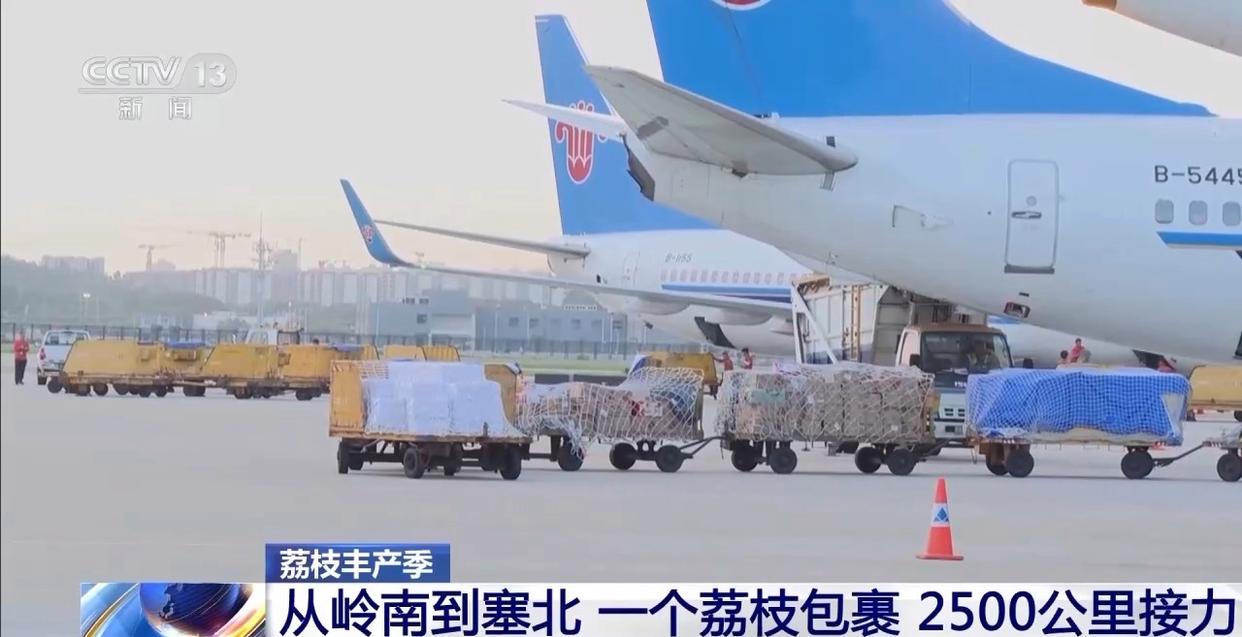 从岭南枝头到全球餐桌 广东荔枝解锁“四季鲜”密码→