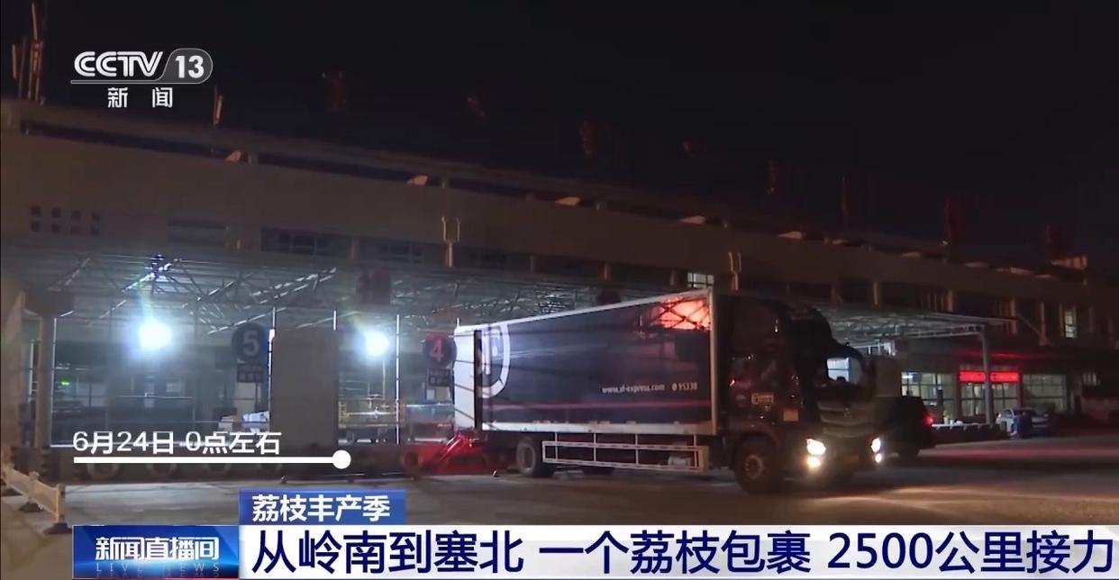 从岭南枝头到全球餐桌 广东荔枝解锁“四季鲜”密码→