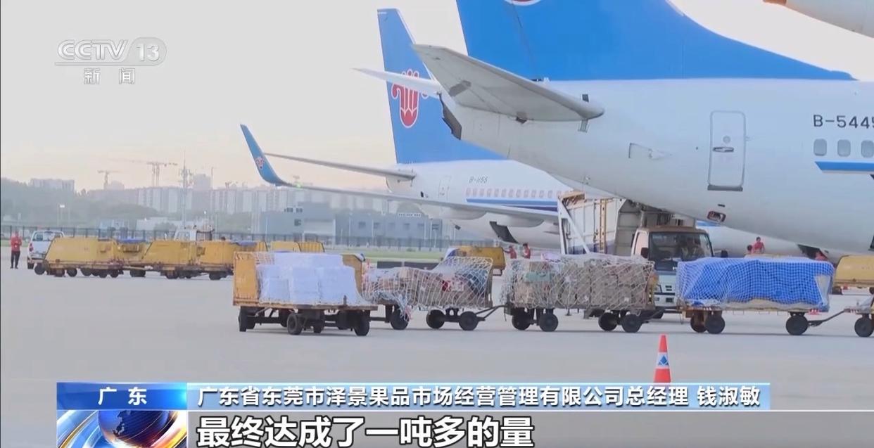 从岭南枝头到全球餐桌 广东荔枝解锁“四季鲜”密码→