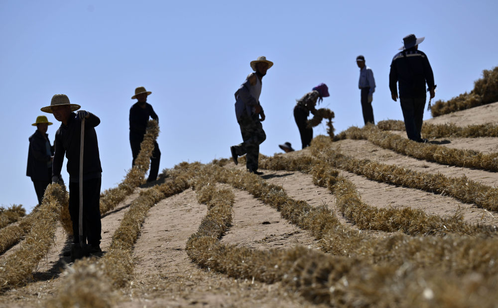 新华鲜报|中国锁边奇迹再现！腾格里沙漠153公里镶上“绿链”