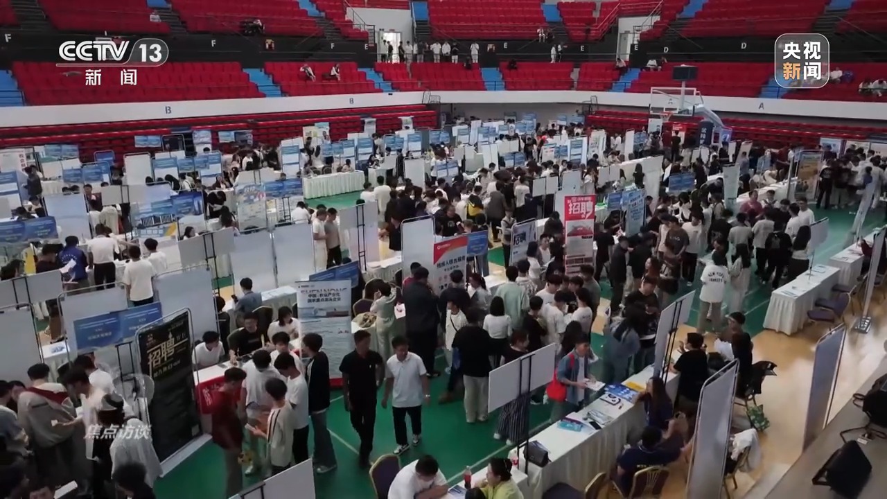 焦点访谈丨跨区域招聘、开设微专业……政校企协同发力破解就业难题