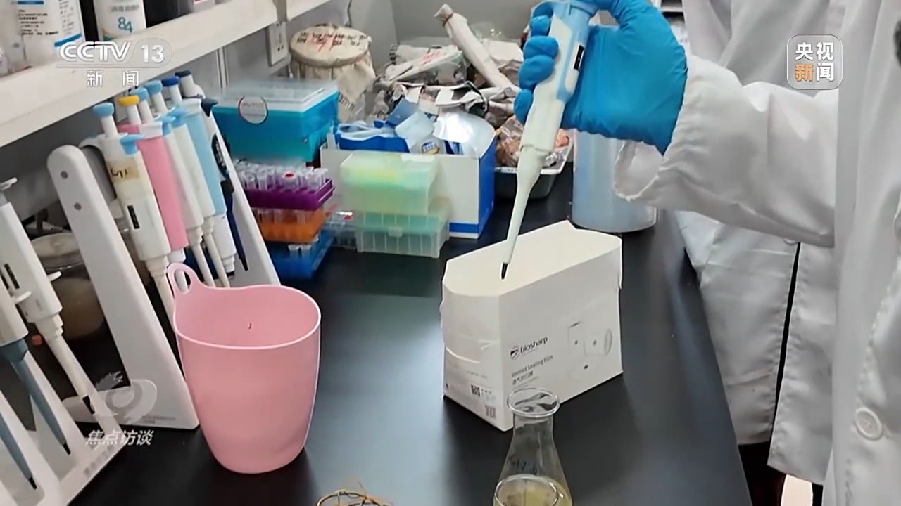 焦点访谈丨跨区域招聘、开设微专业……政校企协同发力破解就业难题