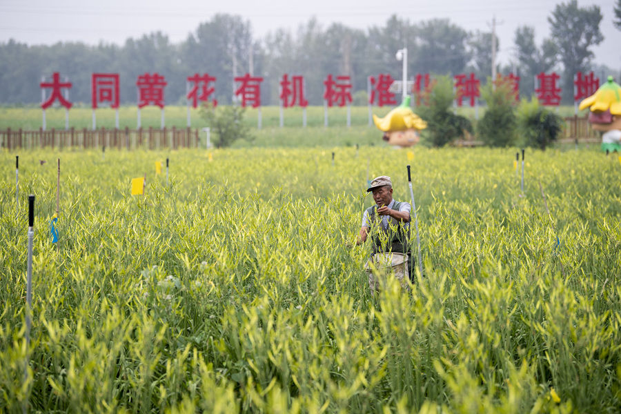学习进行时｜习近平总书记和山西的故事