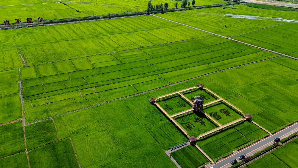 活力中国调研行|从这里一窥东北乡村的未来——走进光东村