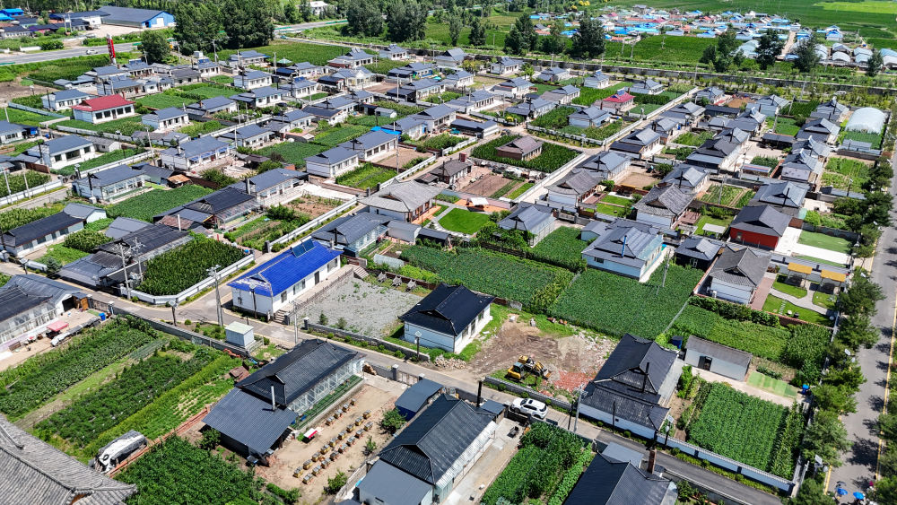 活力中国调研行|从这里一窥东北乡村的未来——走进光东村 活力中国调研行|从这里一窥东北乡村的未来——走进光东村