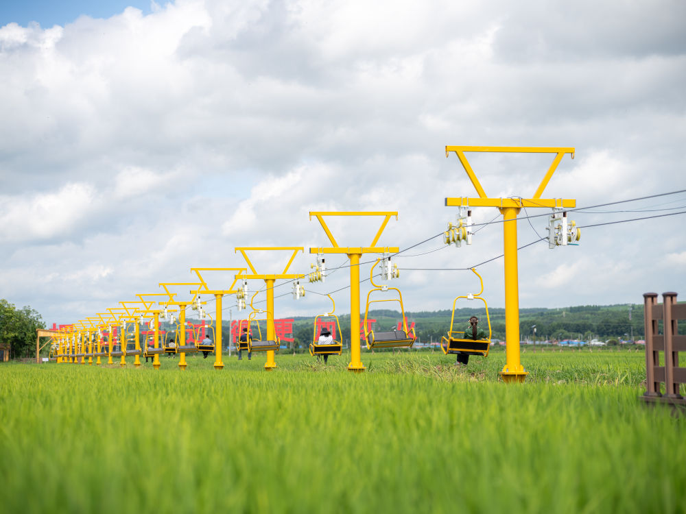 活力中国调研行|从这里一窥东北乡村的未来——走进光东村