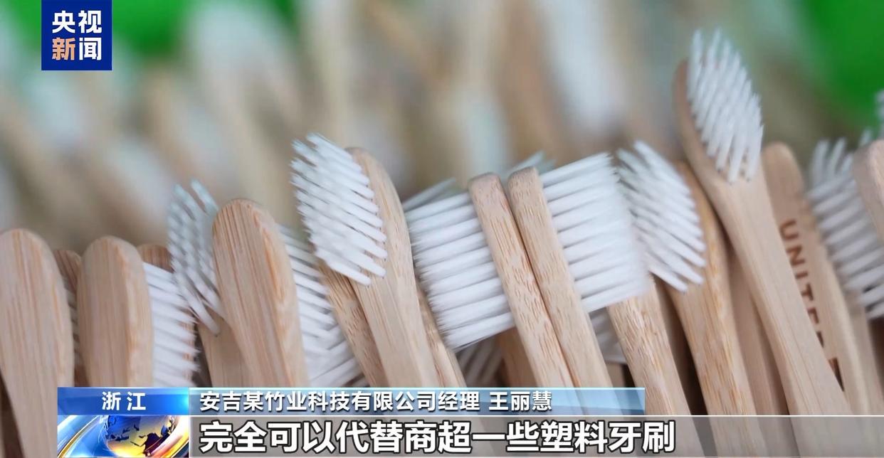 从牙刷到交通护栏 “以竹代塑”让竹子可以“百变”