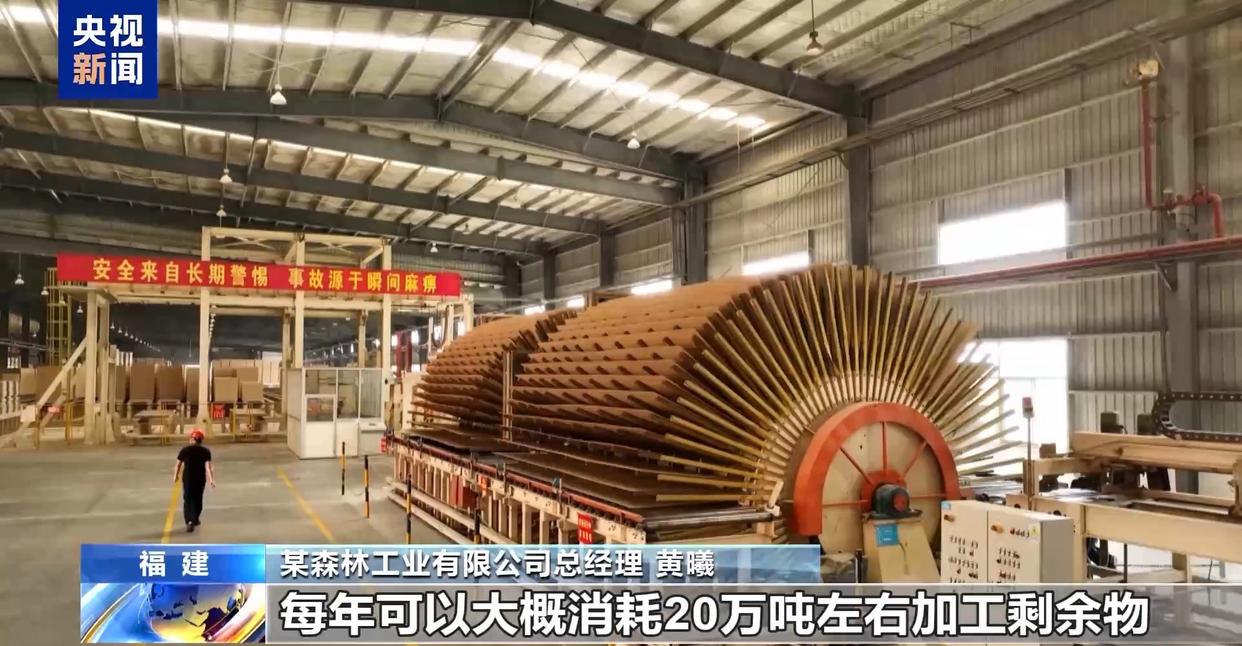 从牙刷到交通护栏 “以竹代塑”让竹子可以“百变”