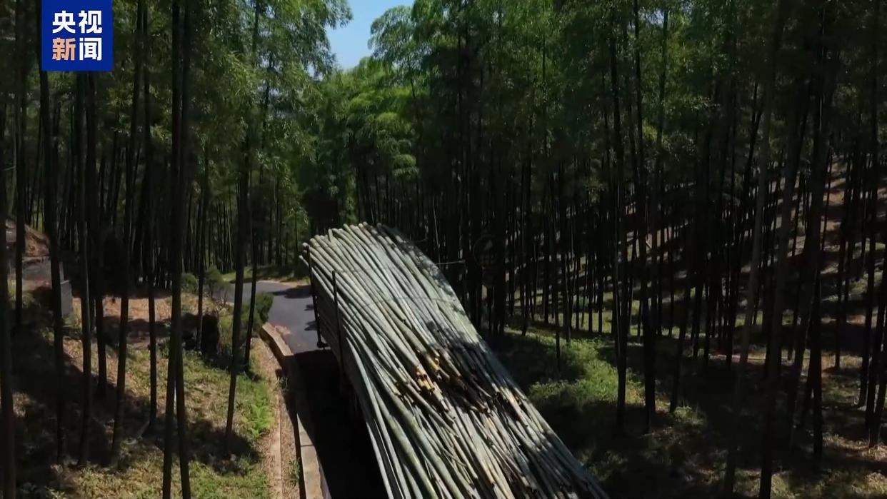 从牙刷到交通护栏 “以竹代塑”让竹子可以“百变”