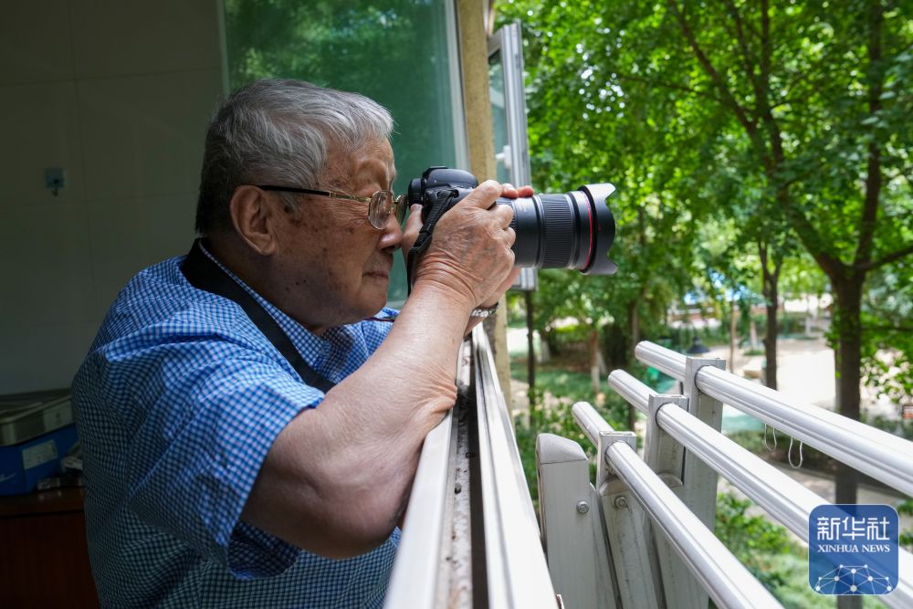 寻找照片中的TA·抗战胜利80周年｜“战争虽然残酷，但我从未害怕”