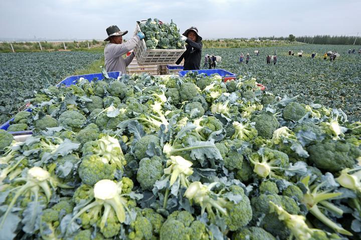 镜观·回响｜坚持以人为本 推进共同富裕