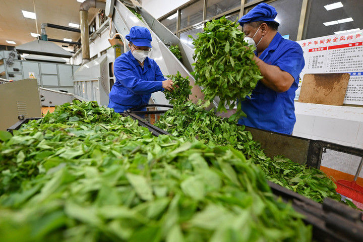 镜观·回响｜坚持以人为本 推进共同富裕