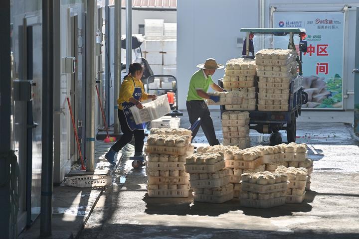 镜观·回响｜坚持以人为本 推进共同富裕