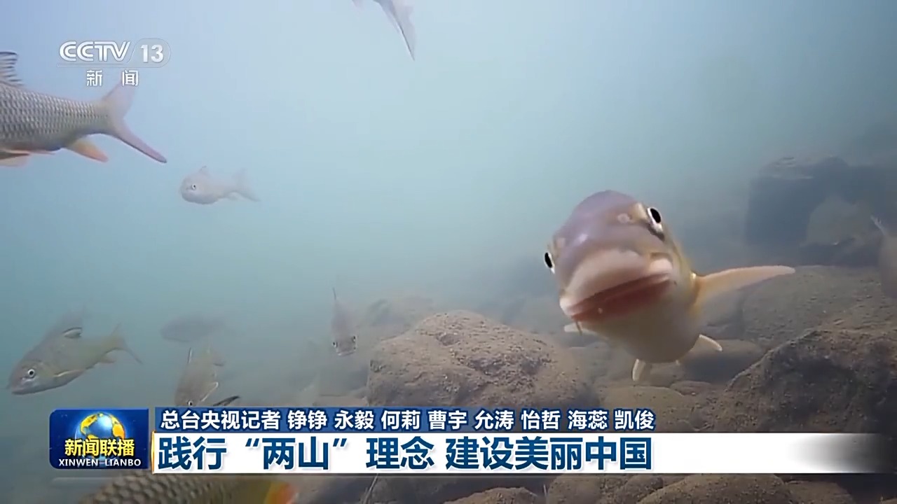 新思想引领新征程丨践行“两山”理念 建设美丽中国