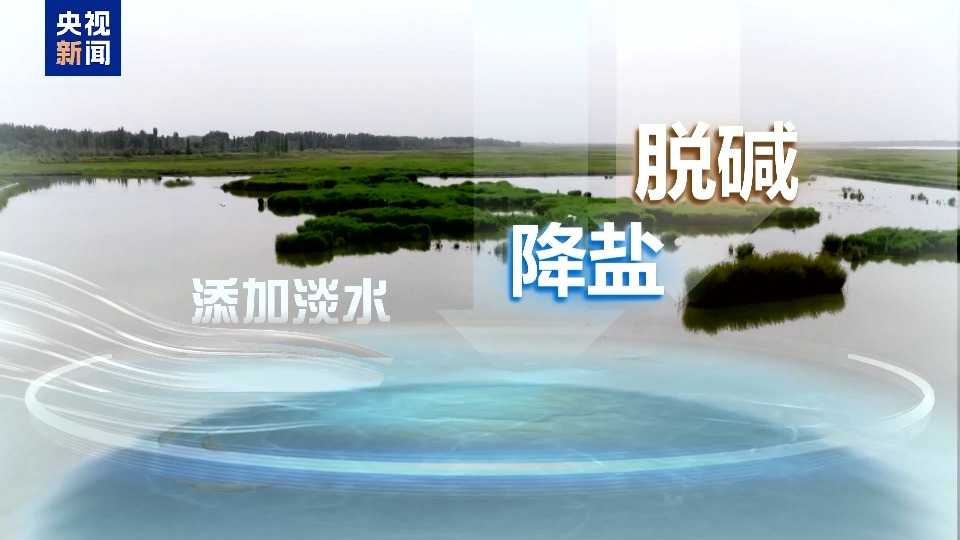 沙漠里也能养海鲜、种水稻？看新疆如何“点沙成金”