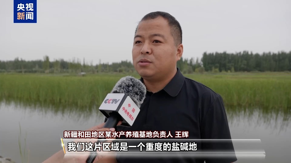 沙漠里也能养海鲜、种水稻？看新疆如何“点沙成金”