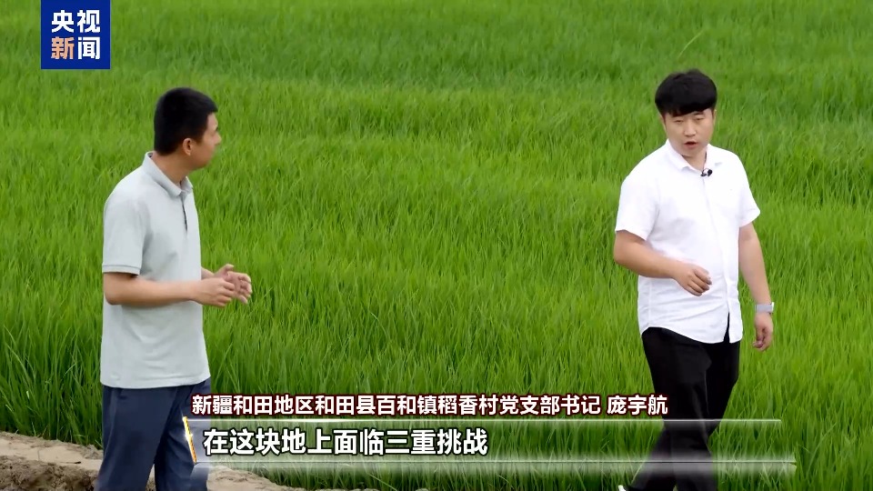 沙漠里也能养海鲜、种水稻？看新疆如何“点沙成金”
