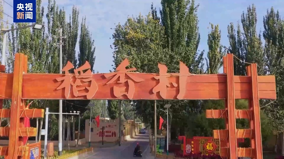 沙漠里也能养海鲜、种水稻？看新疆如何“点沙成金”