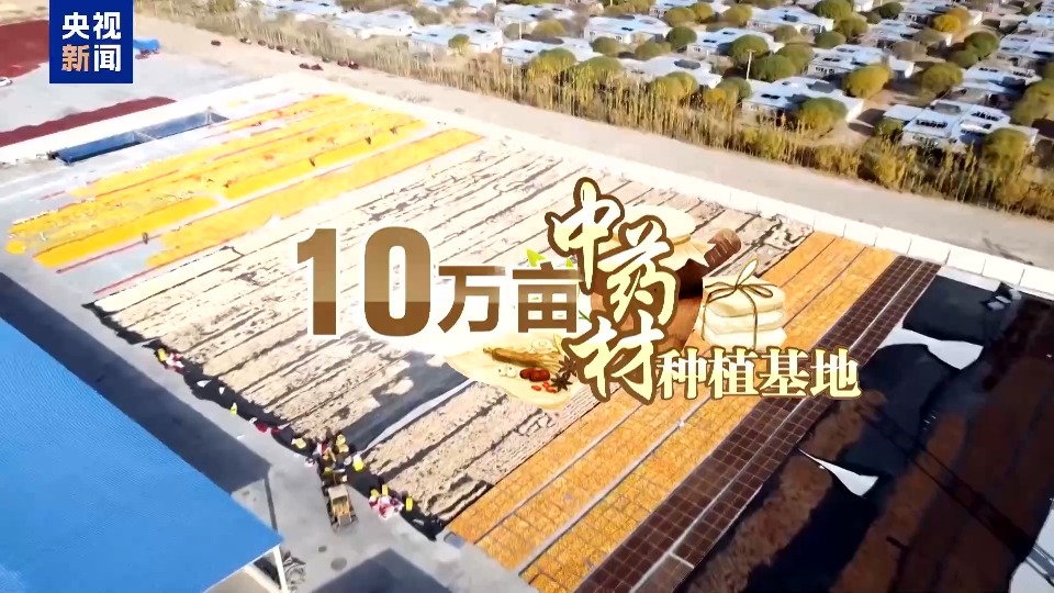 沙漠里也能养海鲜、种水稻？看新疆如何“点沙成金”
