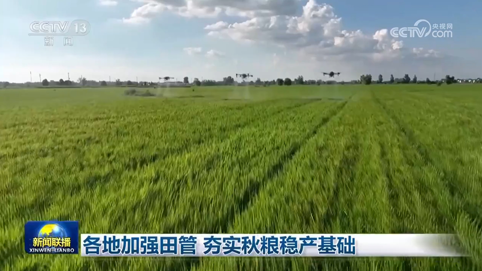 各地加强田管 夯实秋粮稳产基础