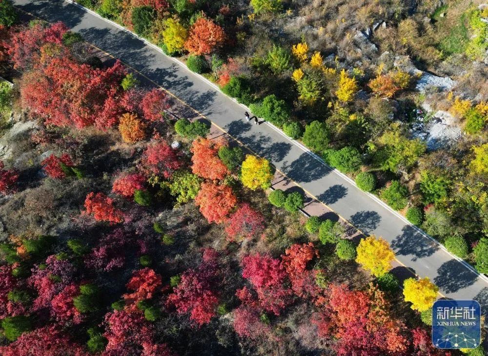 处暑丨暑热渐退 秋意渐浓