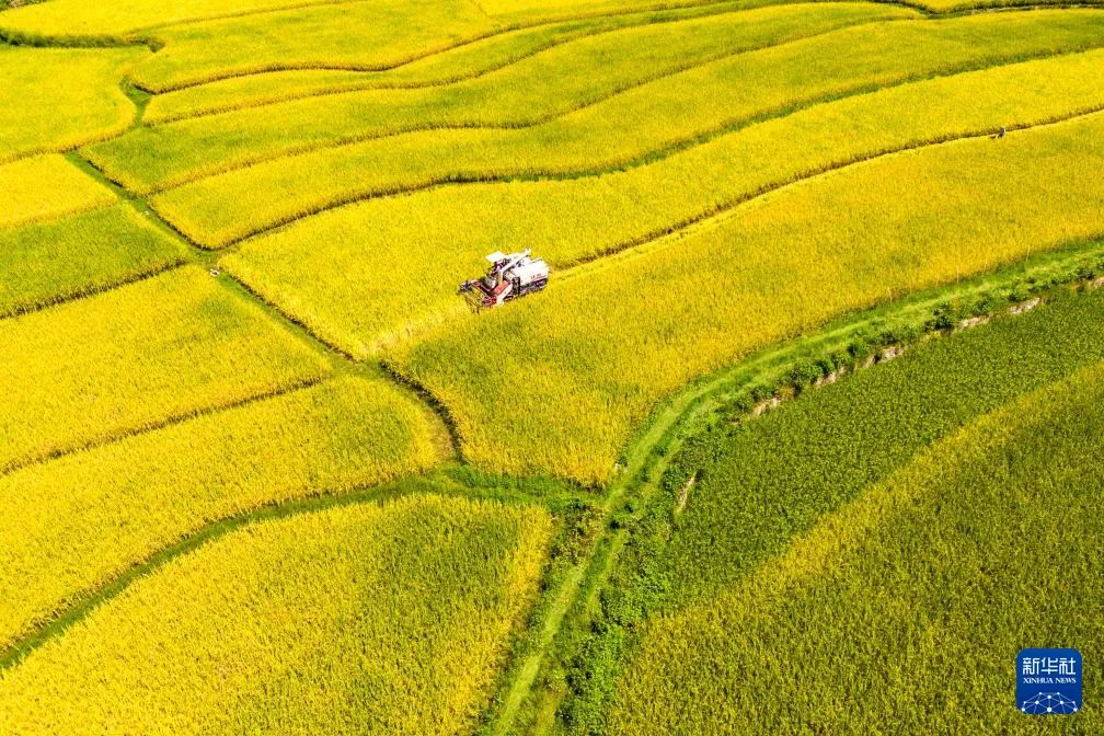 处暑丨暑热渐退 秋意渐浓