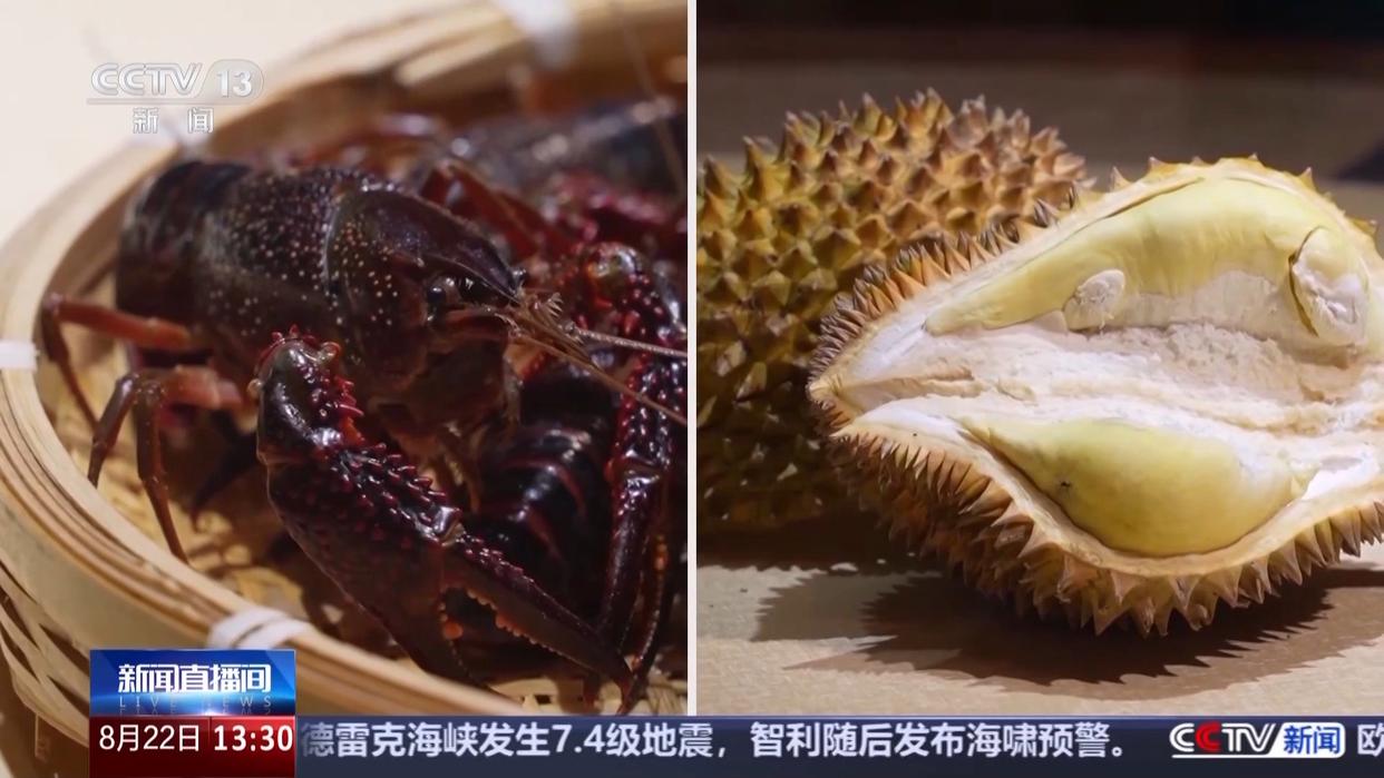 打通全链条 “中国新特产”从红遍全国到走向世界