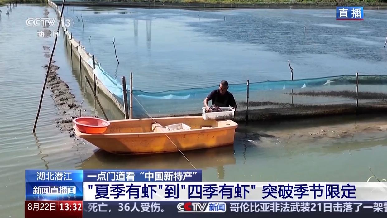 打通全链条 “中国新特产”从红遍全国到走向世界