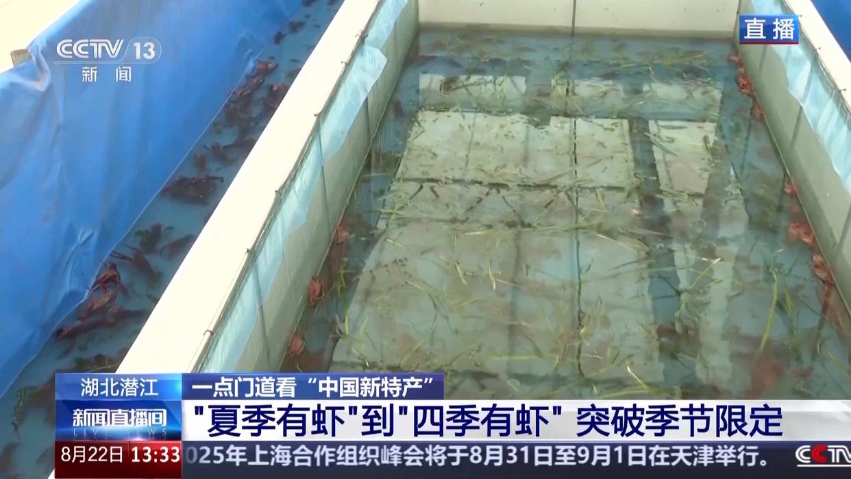 打通全链条 “中国新特产”从红遍全国到走向世界