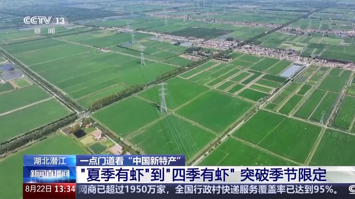 打通全链条 “中国新特产”从红遍全国到走向世界