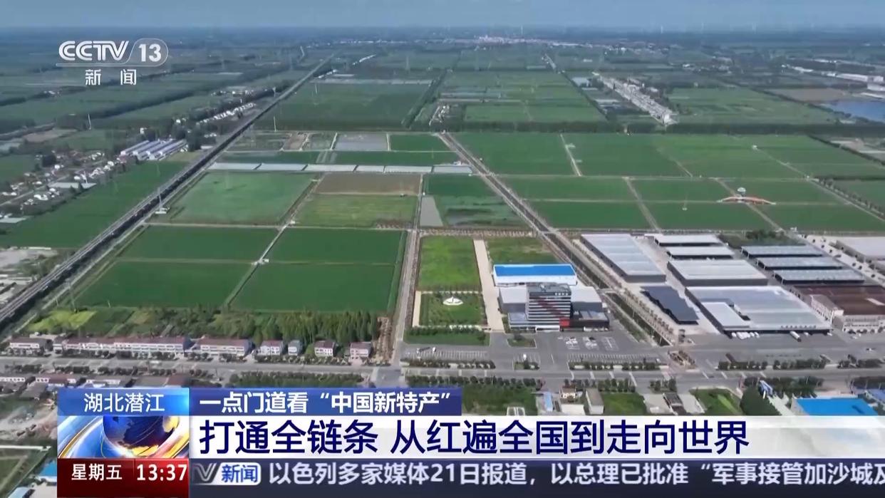 打通全链条 “中国新特产”从红遍全国到走向世界