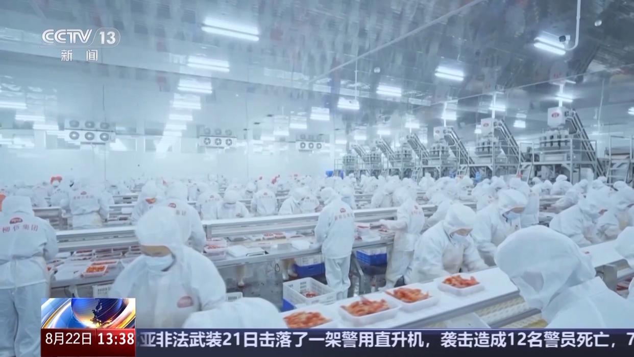 打通全链条 “中国新特产”从红遍全国到走向世界