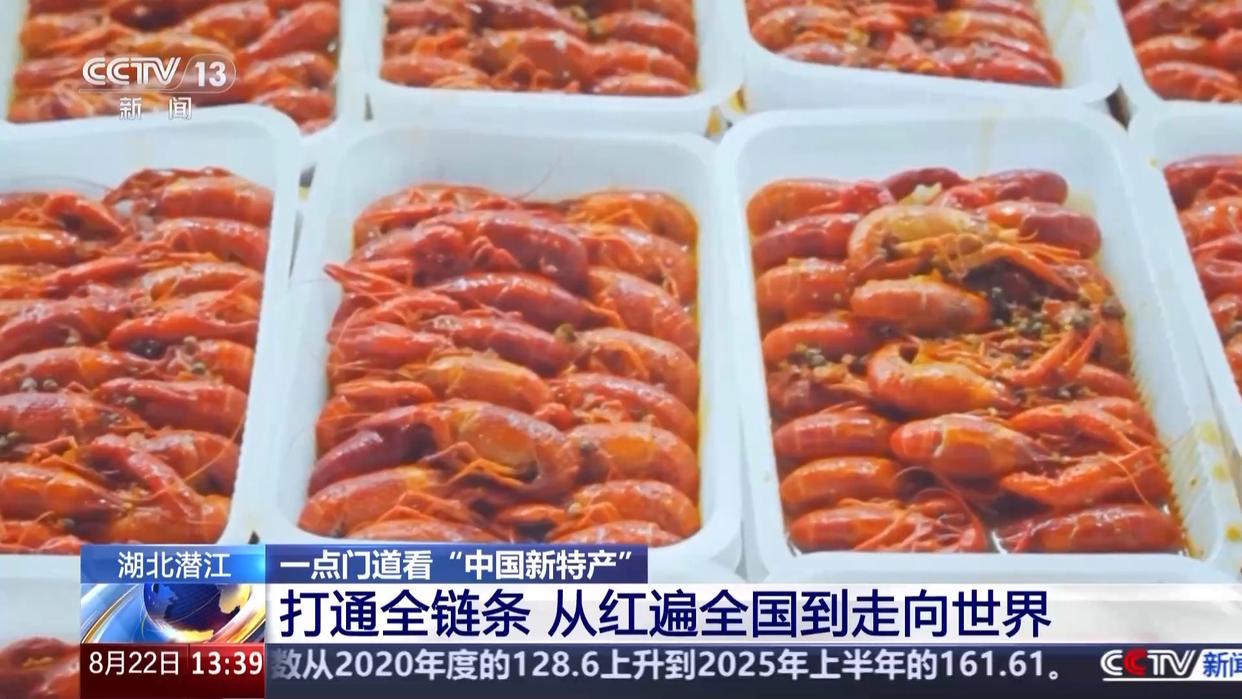 打通全链条 “中国新特产”从红遍全国到走向世界