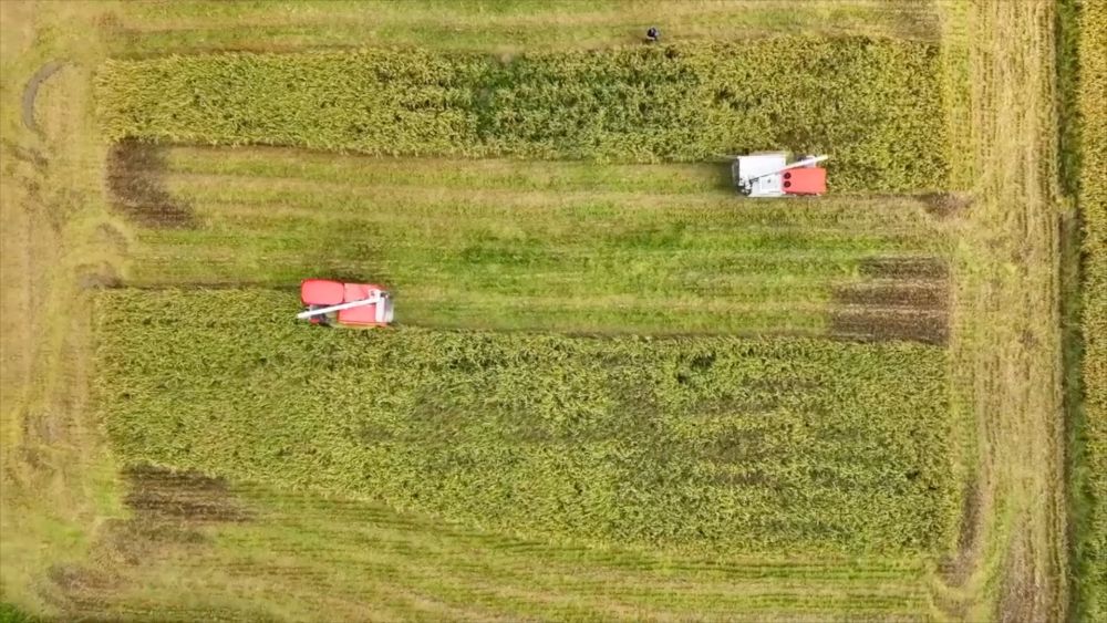 新华视点|科技扎根田野间 多地探索农业高质量发展新路径 新华视点|科技扎根田野间 多地探索农业高质量发展新路径