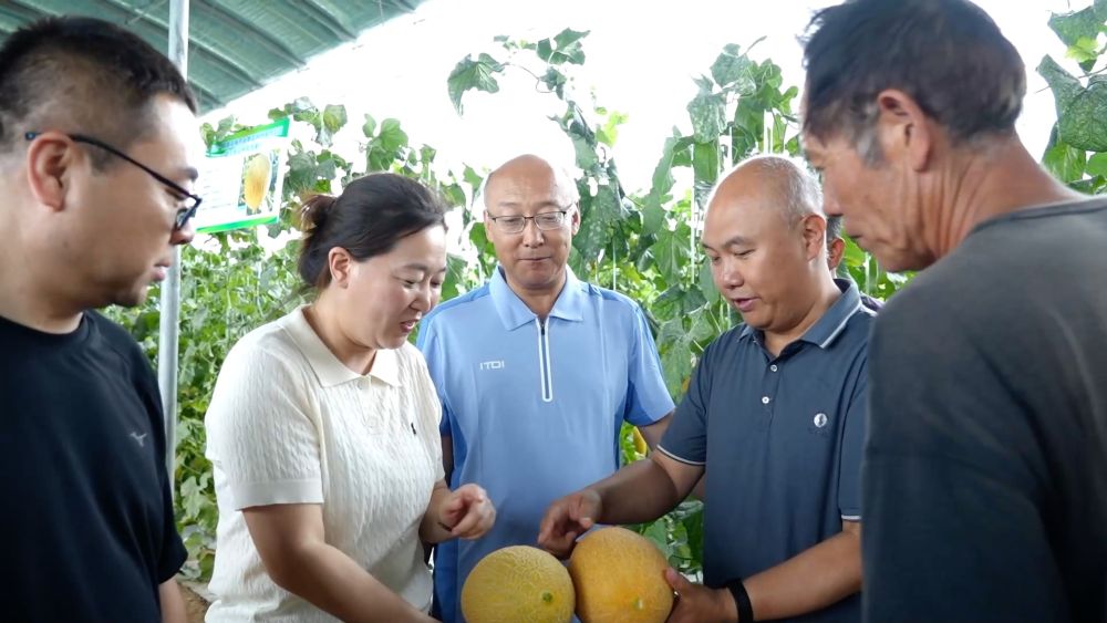 新华视点|科技扎根田野间 多地探索农业高质量发展新路径 新华视点|科技扎根田野间 多地探索农业高质量发展新路径