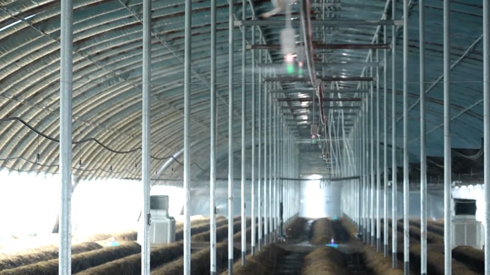 新华视点|科技扎根田野间 多地探索农业高质量发展新路径 新华视点|科技扎根田野间 多地探索农业高质量发展新路径