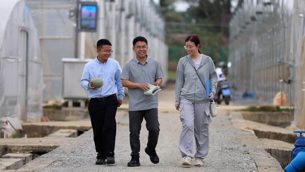 新华视点｜科技扎根田野间 多地探索农业高质量发展新路径