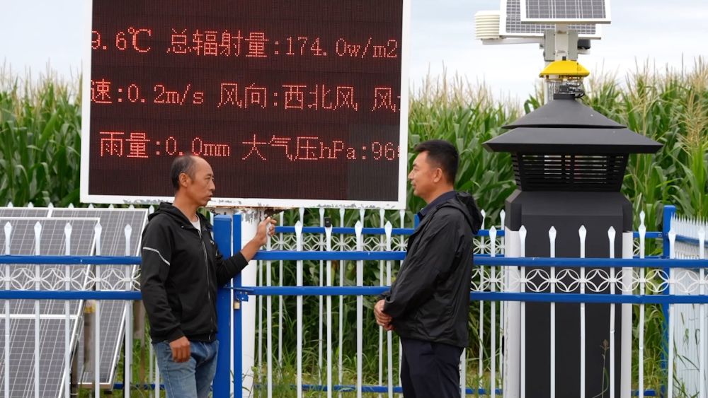 新华视点｜科技扎根田野间 多地探索农业高质量发展新路径