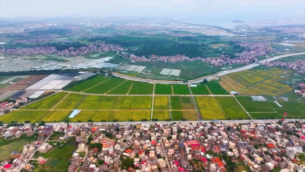 新华视点|科技扎根田野间 多地探索农业高质量发展新路径 新华视点|科技扎根田野间 多地探索农业高质量发展新路径