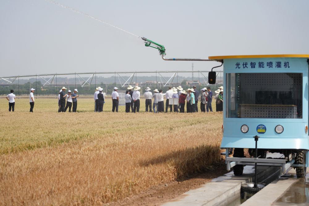 时政微观察丨从习主席引用的古语读懂“上合力量” 时政微观察丨从习主席引用的古语读懂“上合力量”