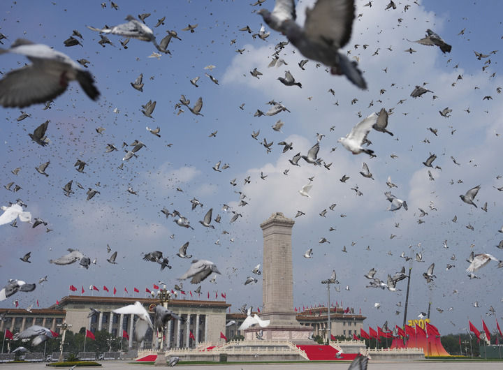 镜观中国｜血肉长城 绝不后退——抗击日本军国主义的中流砥柱