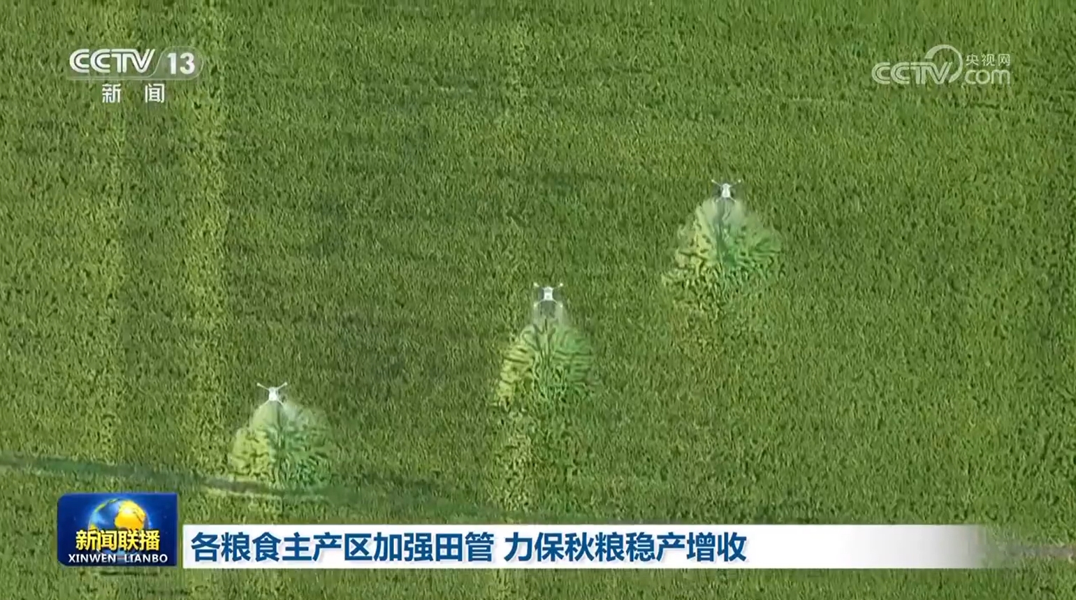 各粮食主产区加强田管 力保秋粮稳产增收