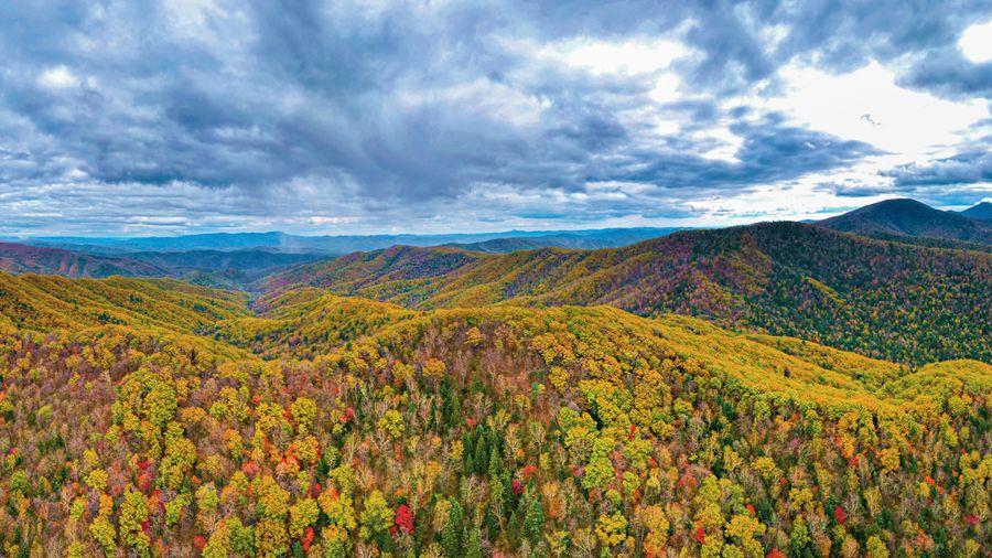时政微观察丨非凡“十四五”，美丽中国铺展新画卷