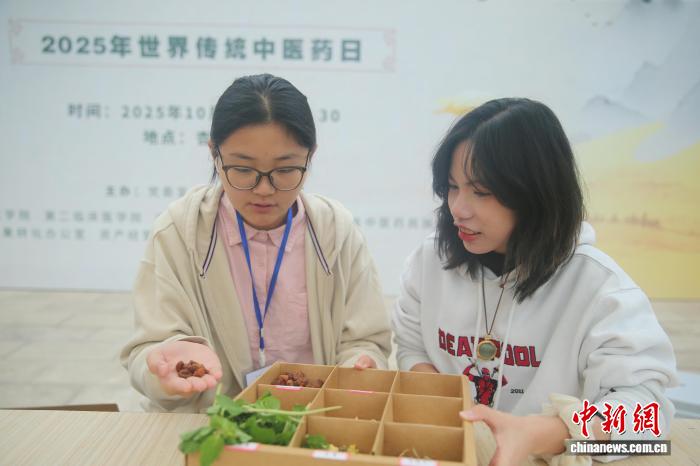 17国留学生昆明感受中医药魅力